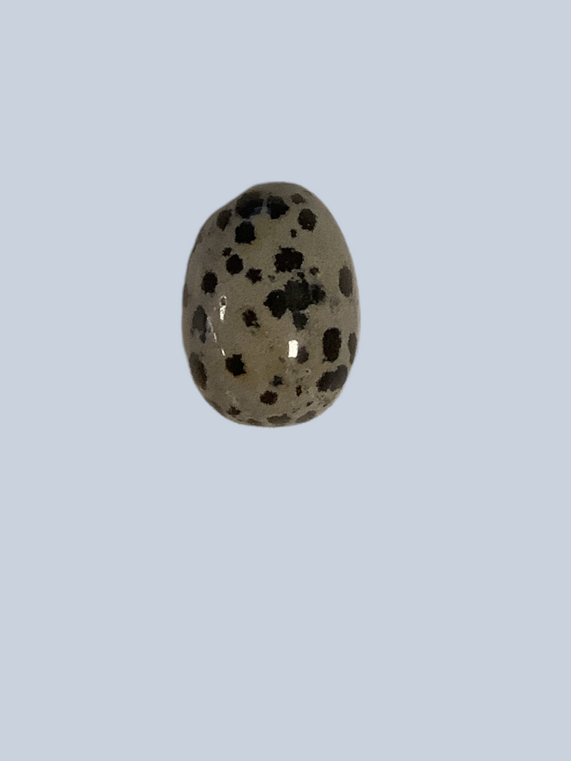 Jasper Stones