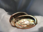Small Abalone Shell