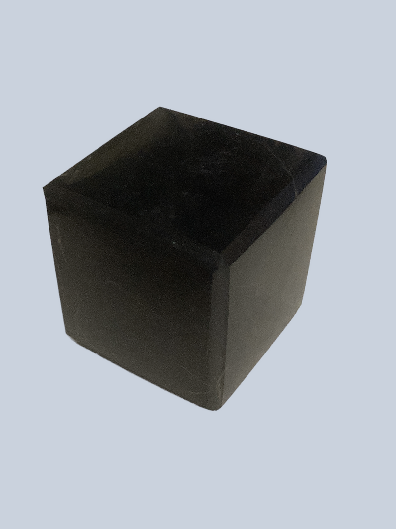 Shungite Specimen