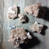 Desert Rose