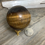 Tiger Eye Specimens