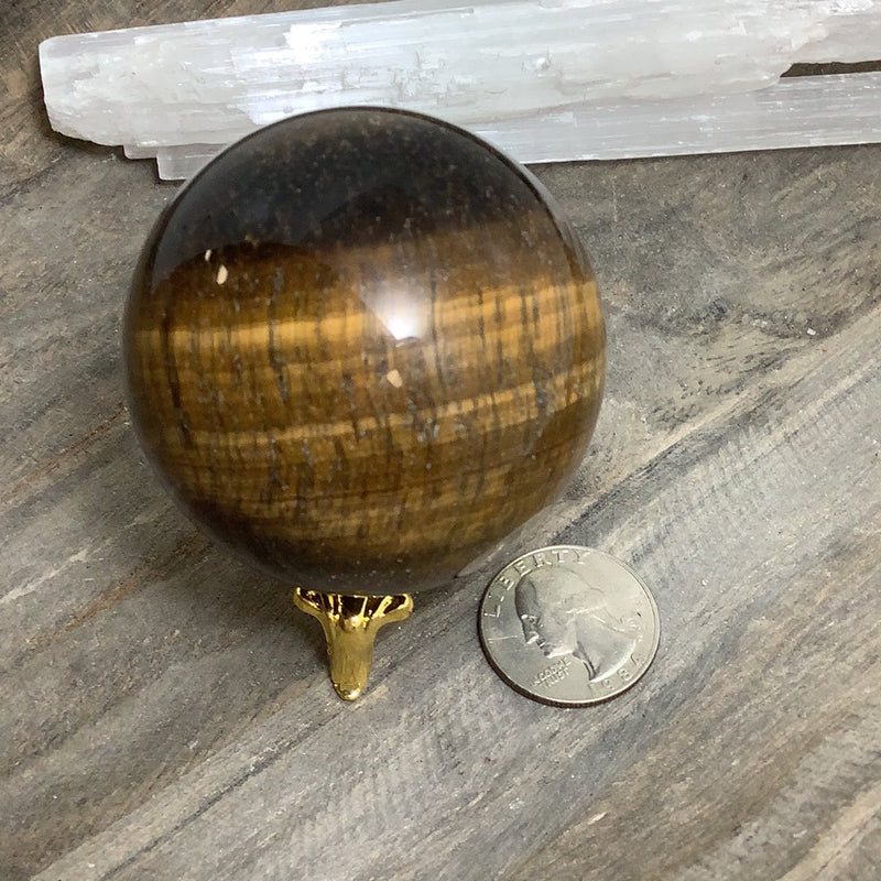 Tiger Eye Specimens