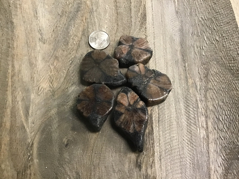 Chiastolite Stones