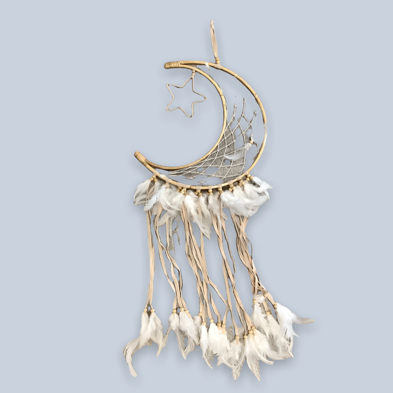 Macrame Dream Catcher