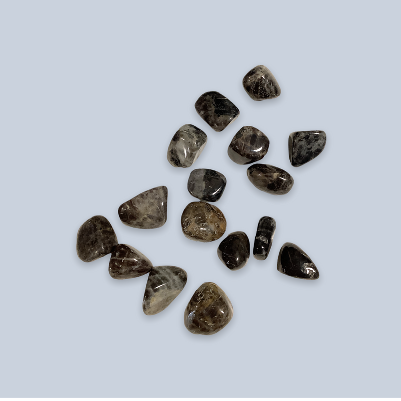 Anorthosite Tumbled Stone