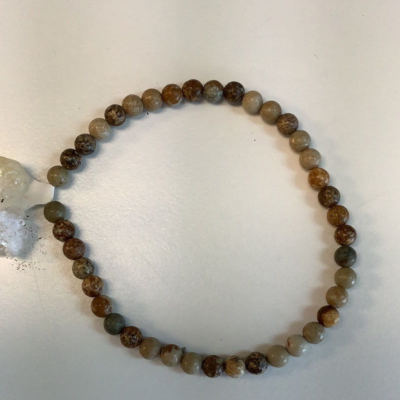 Picture Jasper Bracelet