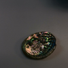Small Abalone Shell