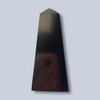 Shungite Specimen