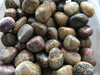 Jasper Stones