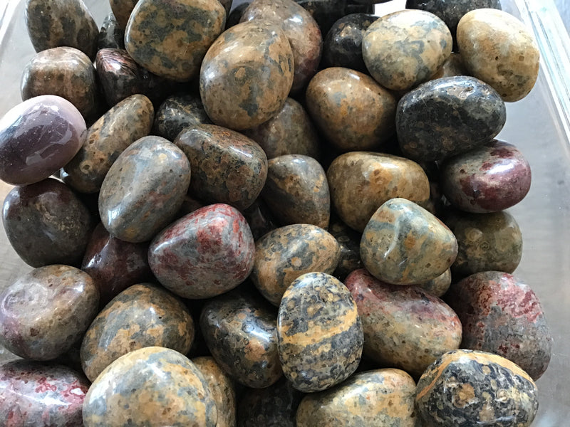 Jasper Stones